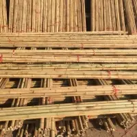 Bamboo Pole/Dried Bamboo