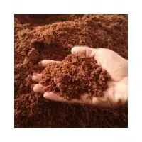 Best Quality Cocopeat From Vietnam