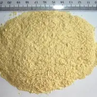 Garlic Powder Spices Powder