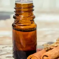 Natural Cinnamon Oil In Vietnam