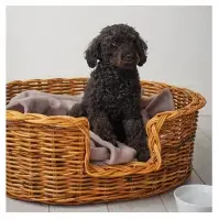 Natural Rattan Pet Bed Cat House