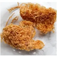 Seamoss Natural Dried Irish Seaweed
