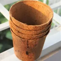 Biodagradeble Coir Pot(Verda)