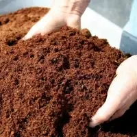 Coco Peat Moss - Planting Soils