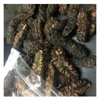 Dried Noni Fruit Half Cut
