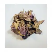Dried Lotus Petal Flower