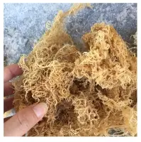 Dried Sea Moss/Irish Moss - 100% Natural