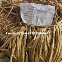 Dried Raw Water Hyacinth Material