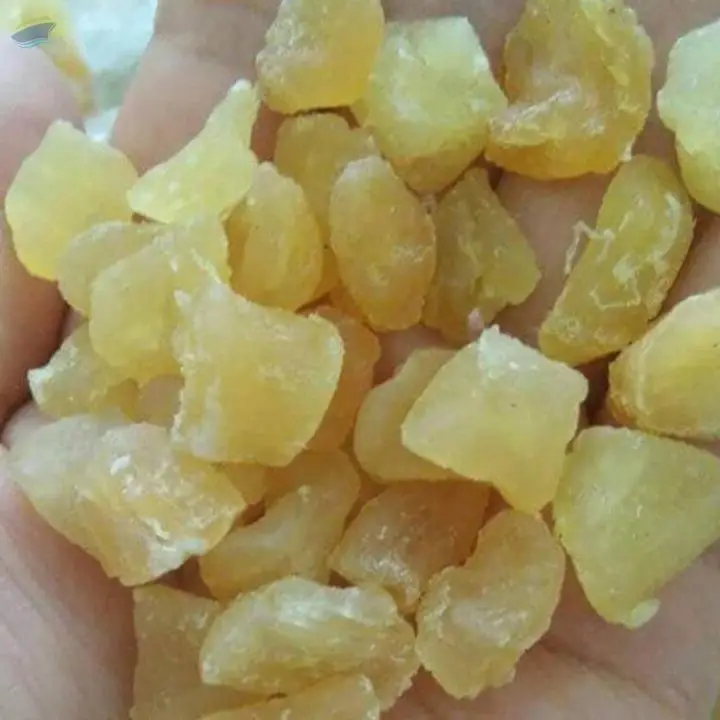 Dried Scallop Without Shell