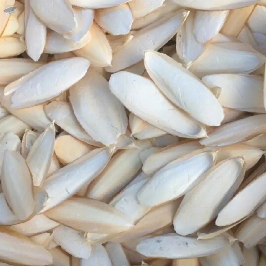 Cuttlefish Bone For Bird Feed