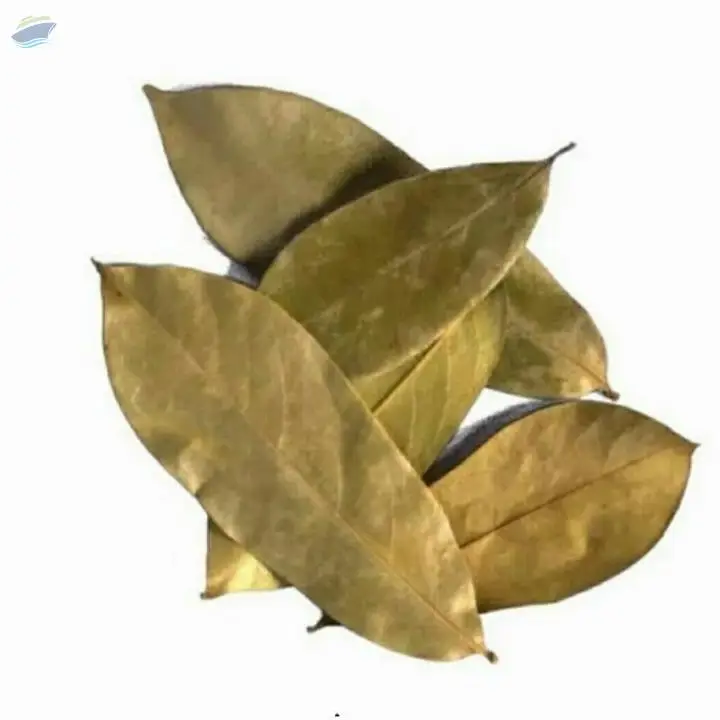 Dried Graviola Leaf/ Soursop Leaves