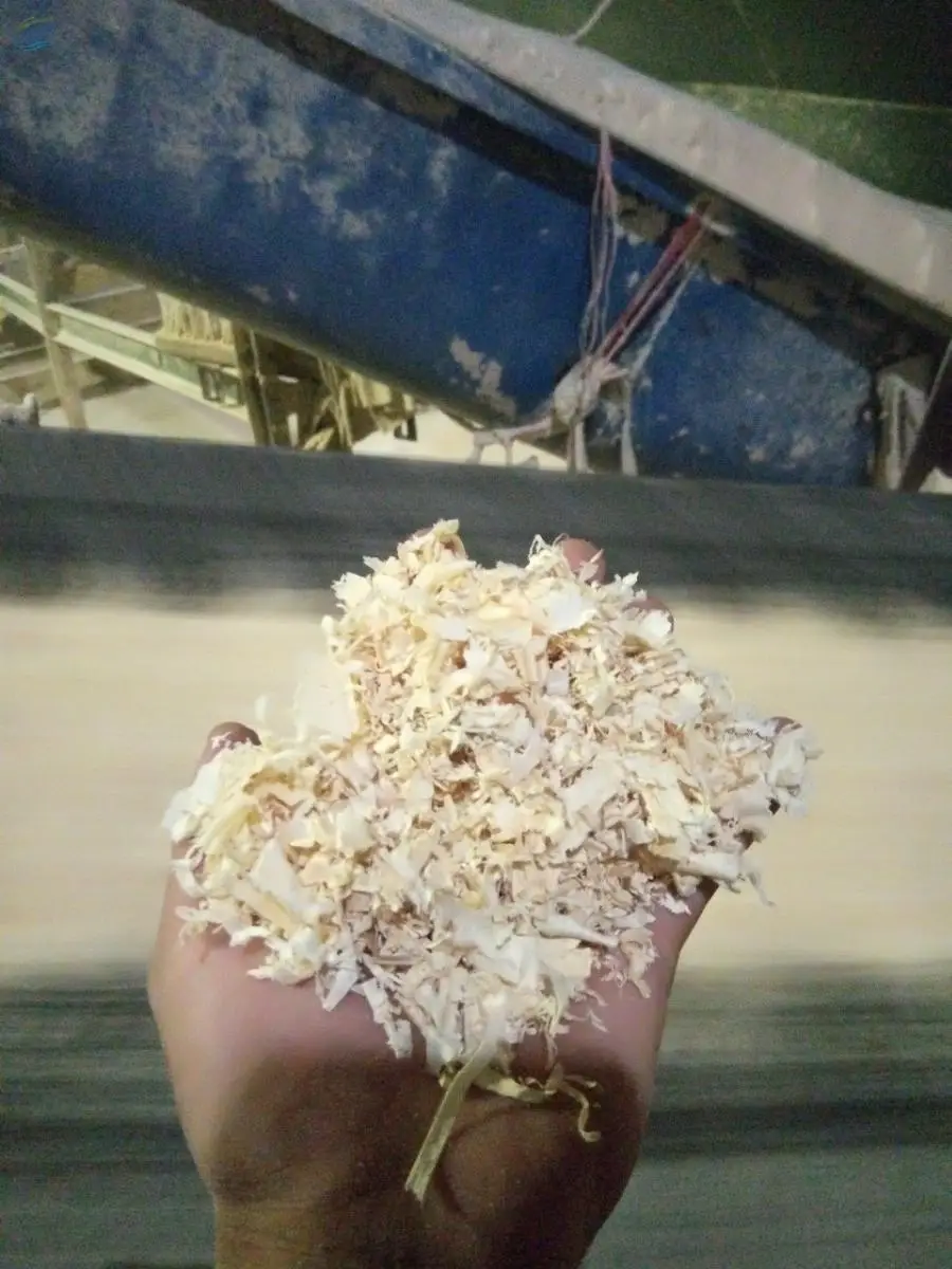 Pine Wood Sharving