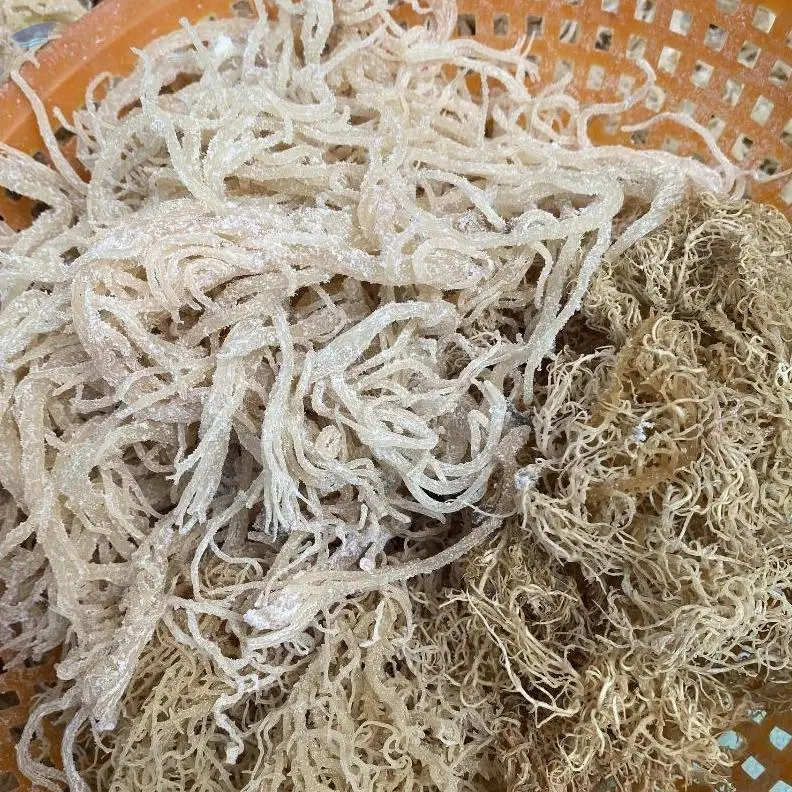 Dried Sea Moss