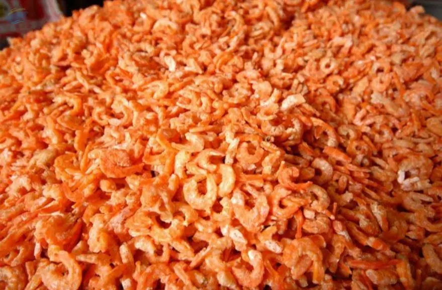 Dried Shrimp