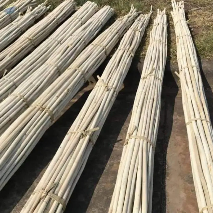 Rattan Pole/ Raw Rattan Material