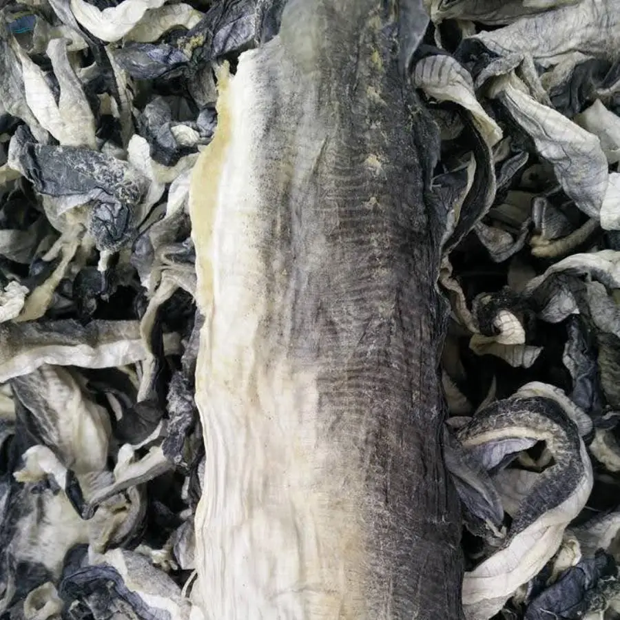 Dried Fish Skin For Collagen