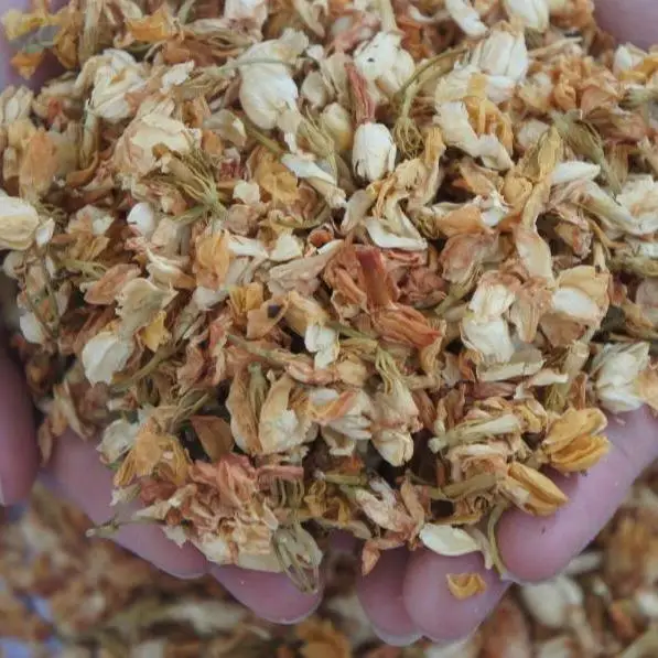 Dried Jasmine Flower
