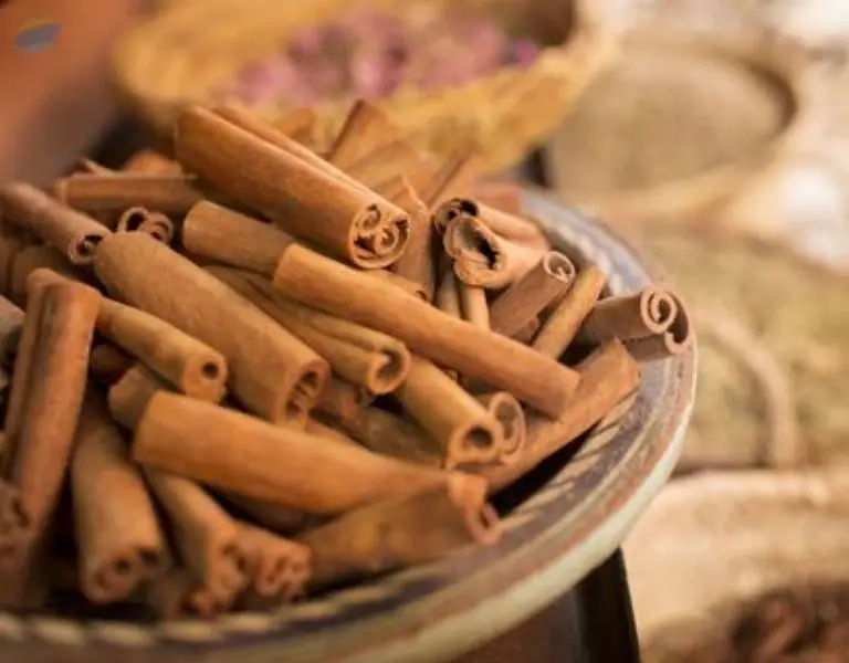 Cinnamon Stick by 99 Gold Data Processing Trading Company Limited