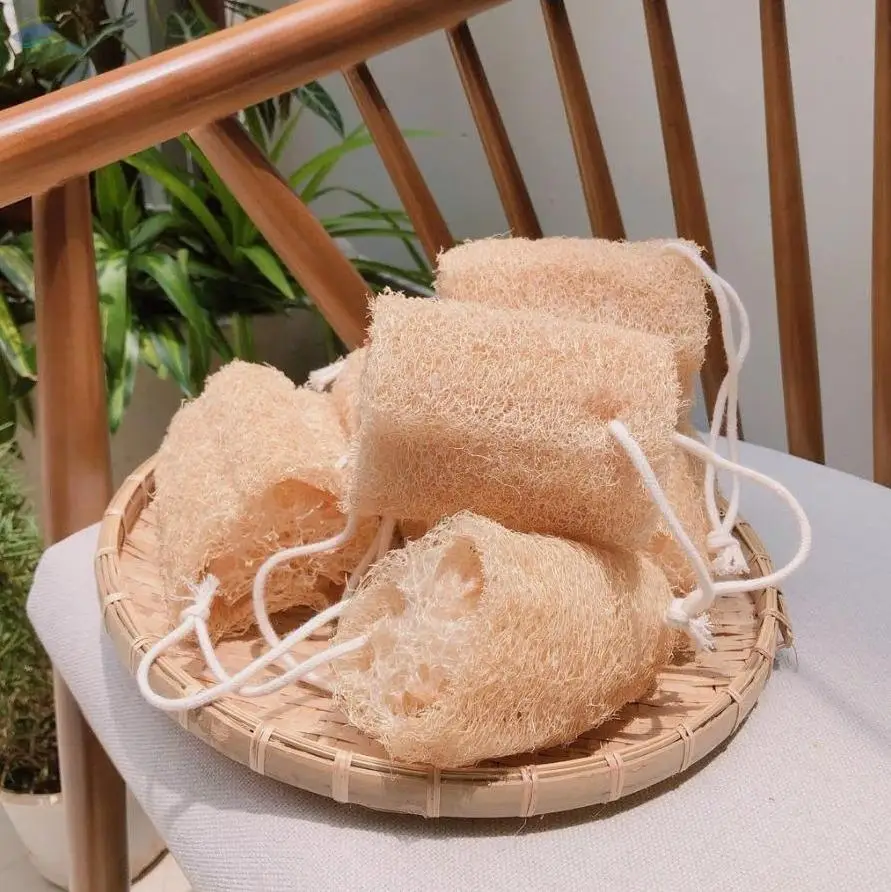 Loofah Sponges