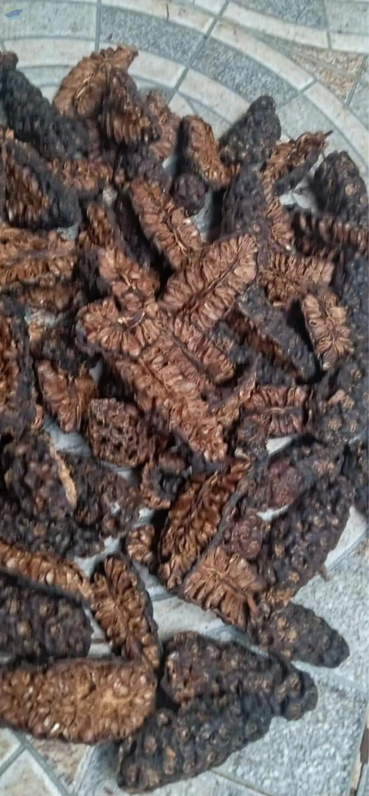 Dried Noni Seaweed