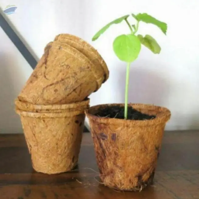 Natural Coir Plant Pot