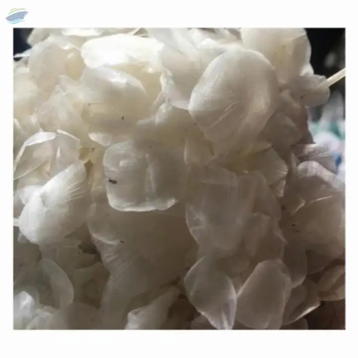 Fish Scale Cheap Price From Viet Nam