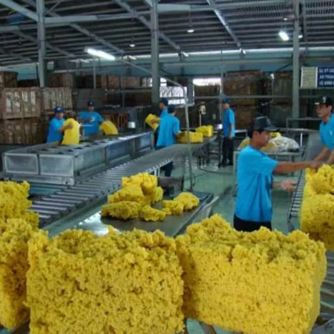 Premium Natural Standard Vietnam Rubber