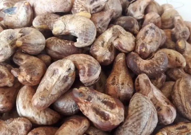 Roasted Cashew Nut