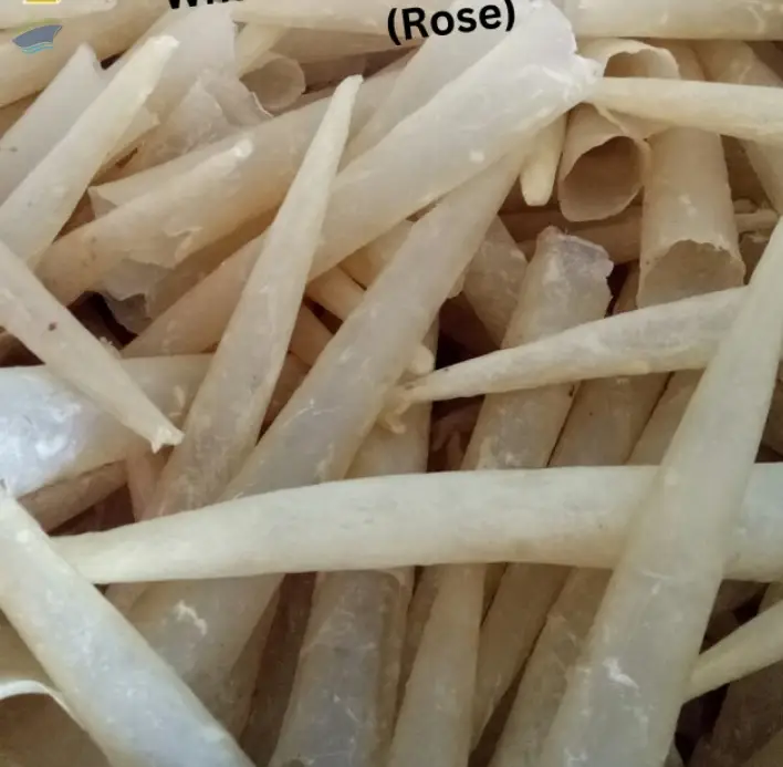 High Quality Dried Fish Maw