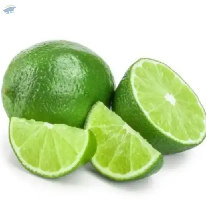 Fresh Seedless Lime With High Quality