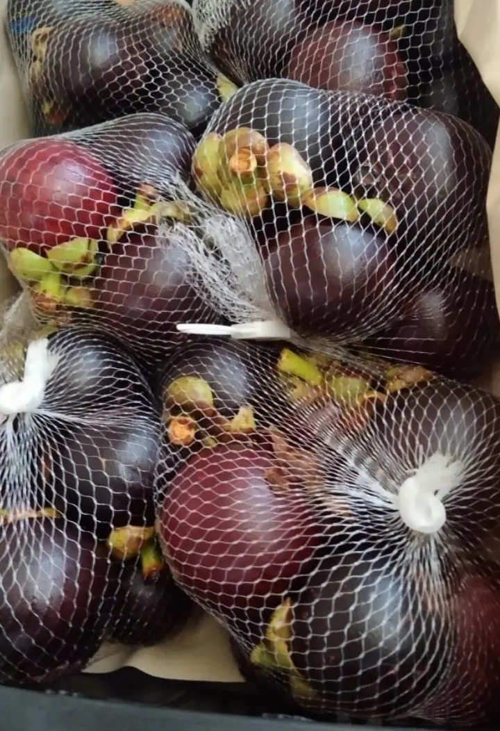 Mangosteen