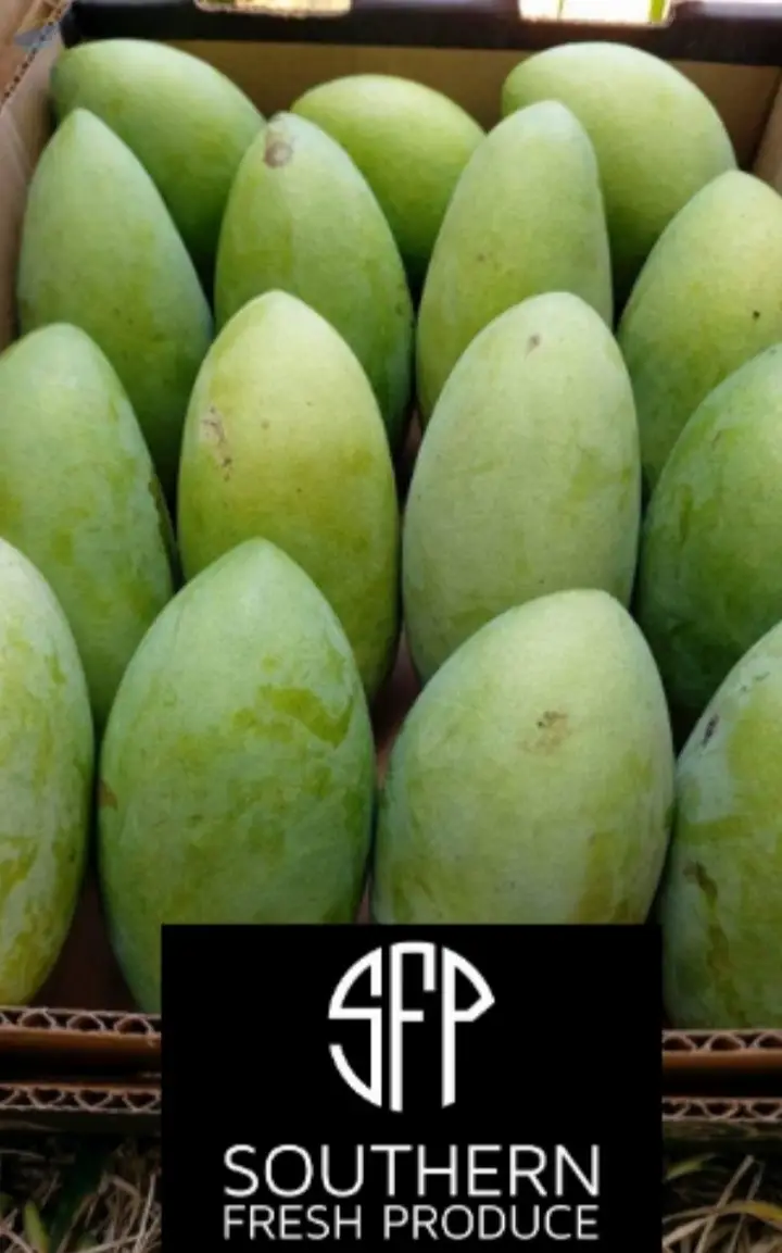 Mango by Southern Fresh Produce LLC