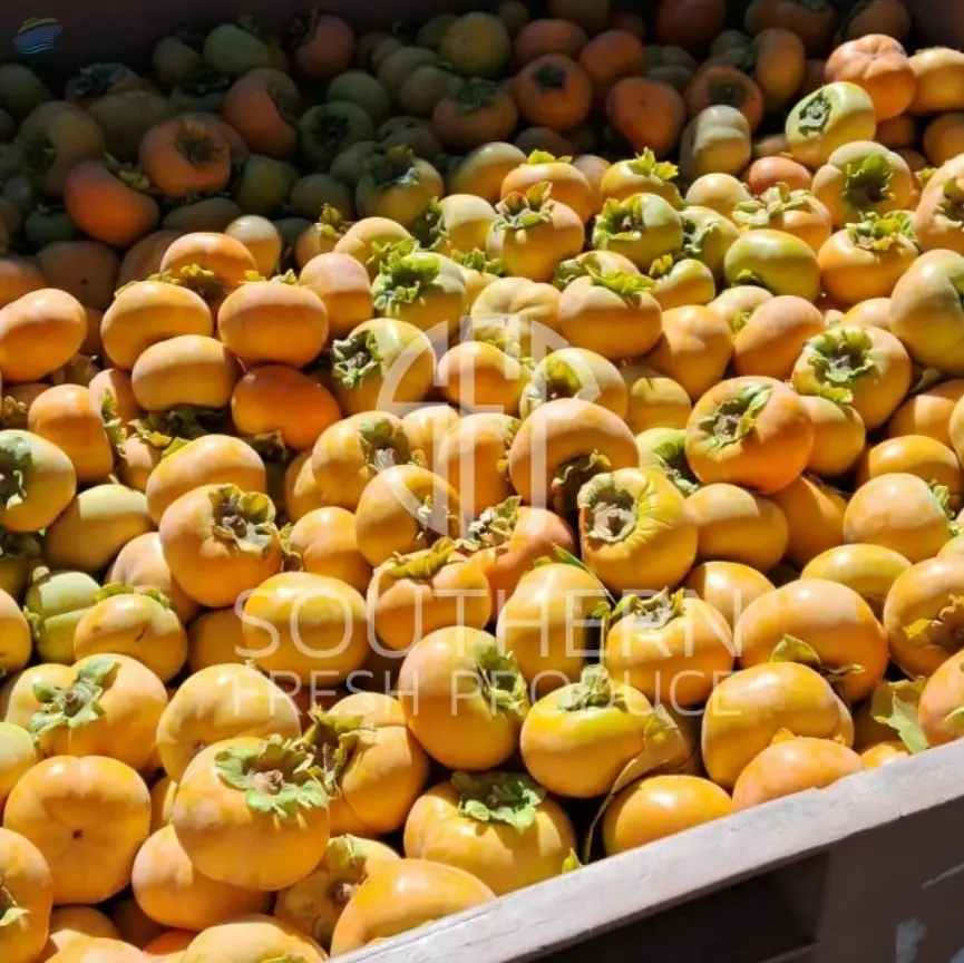 Persimmon by Southern Fresh Produce LLC