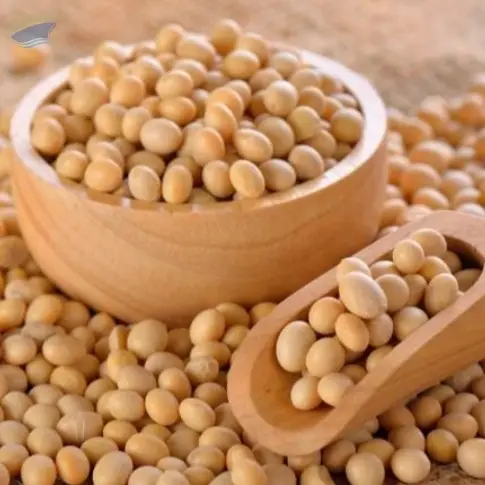 Soybeans