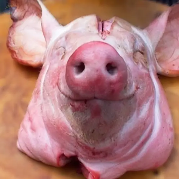 Frozen Pork Head by ANN Kligman LLC