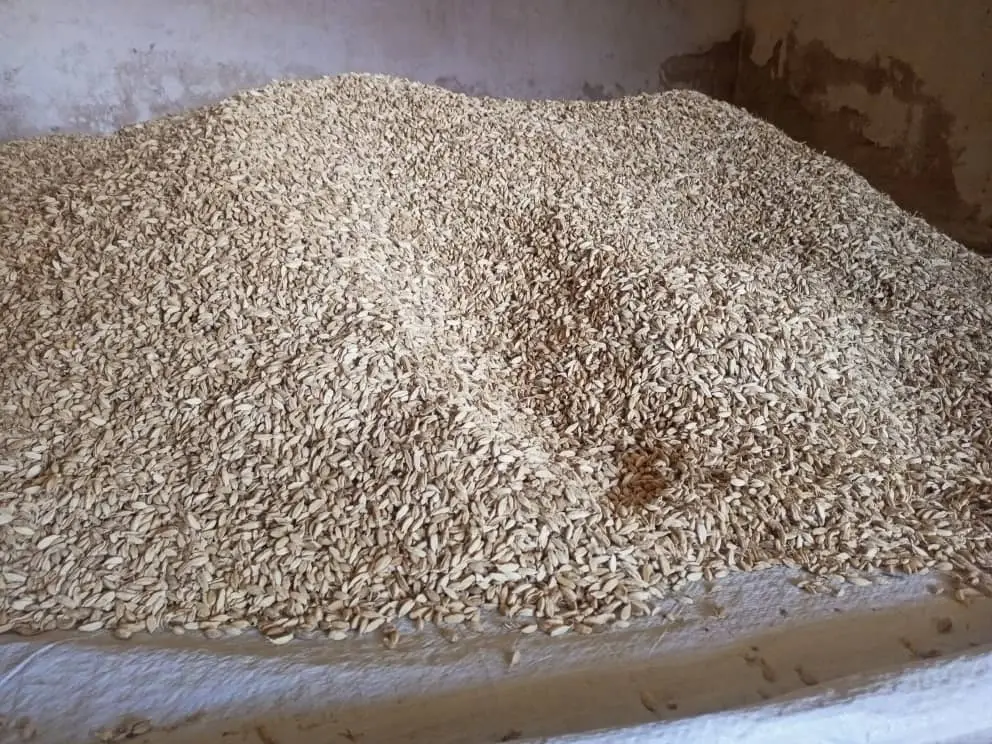 Cardamom