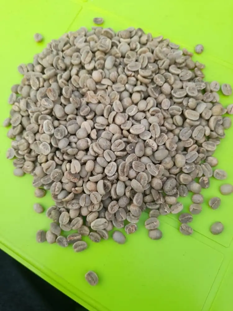 Coffee Beans by Lukonge International Group