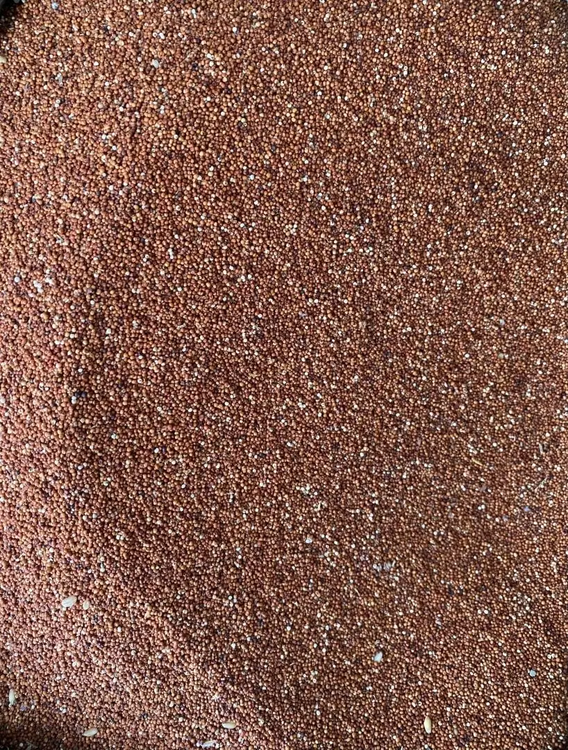 Sorghum by Lukonge International Group