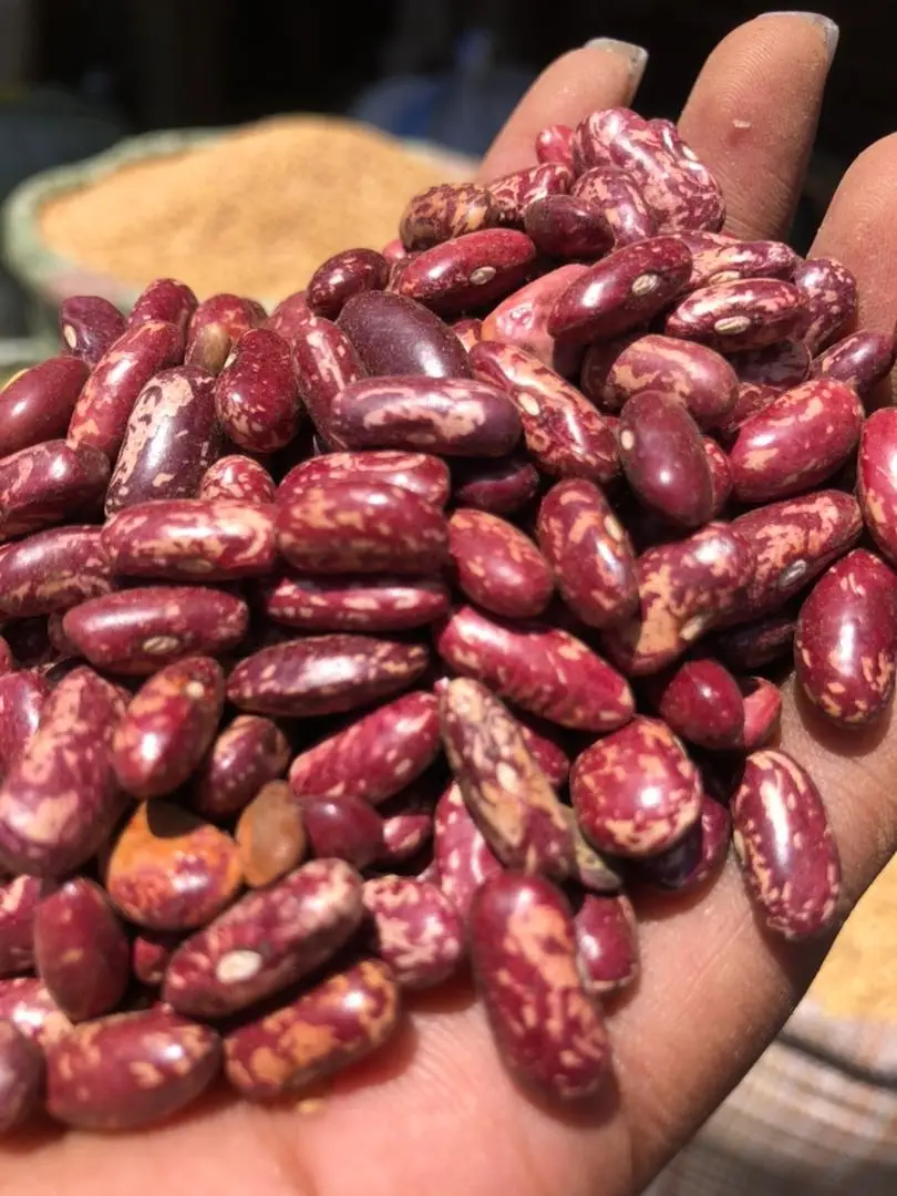 Kidney Beans by Lukonge International Group