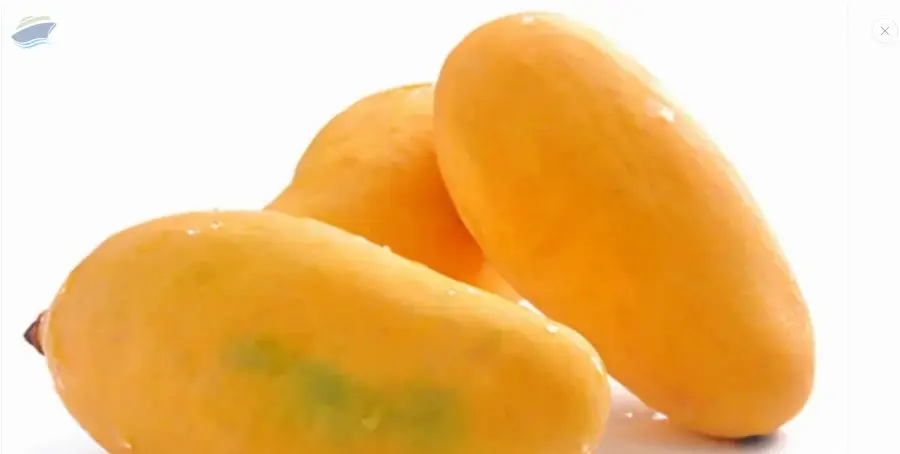 Mangoes by Merchant24x7