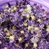 Dried Voilet Cornflower Petals