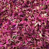 Dried Pink Cornflower Petals