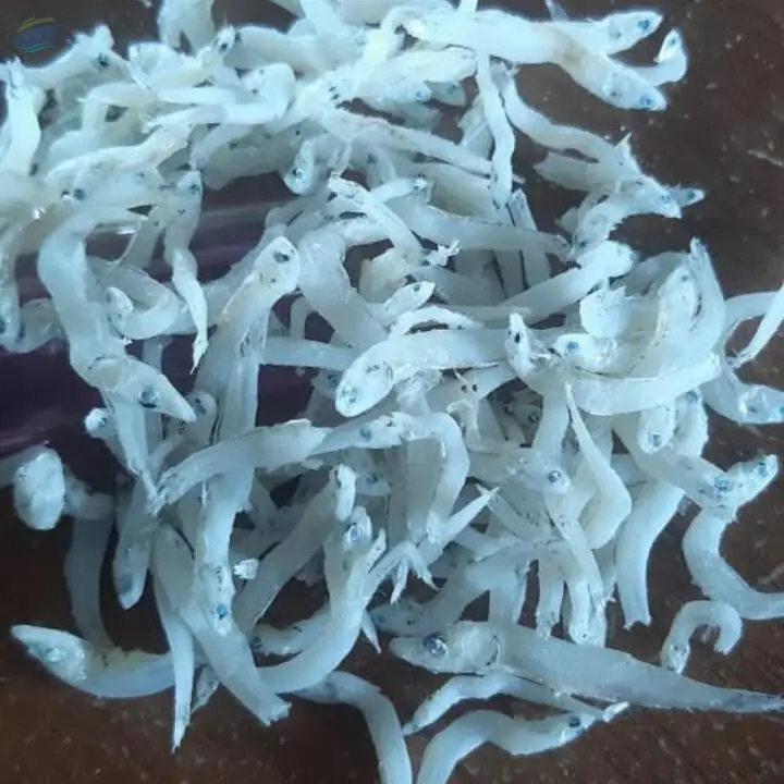 White Small Anchovies (Teri Nasi Putih)