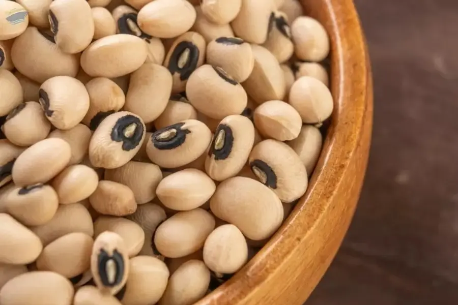 Black Eyed Peas