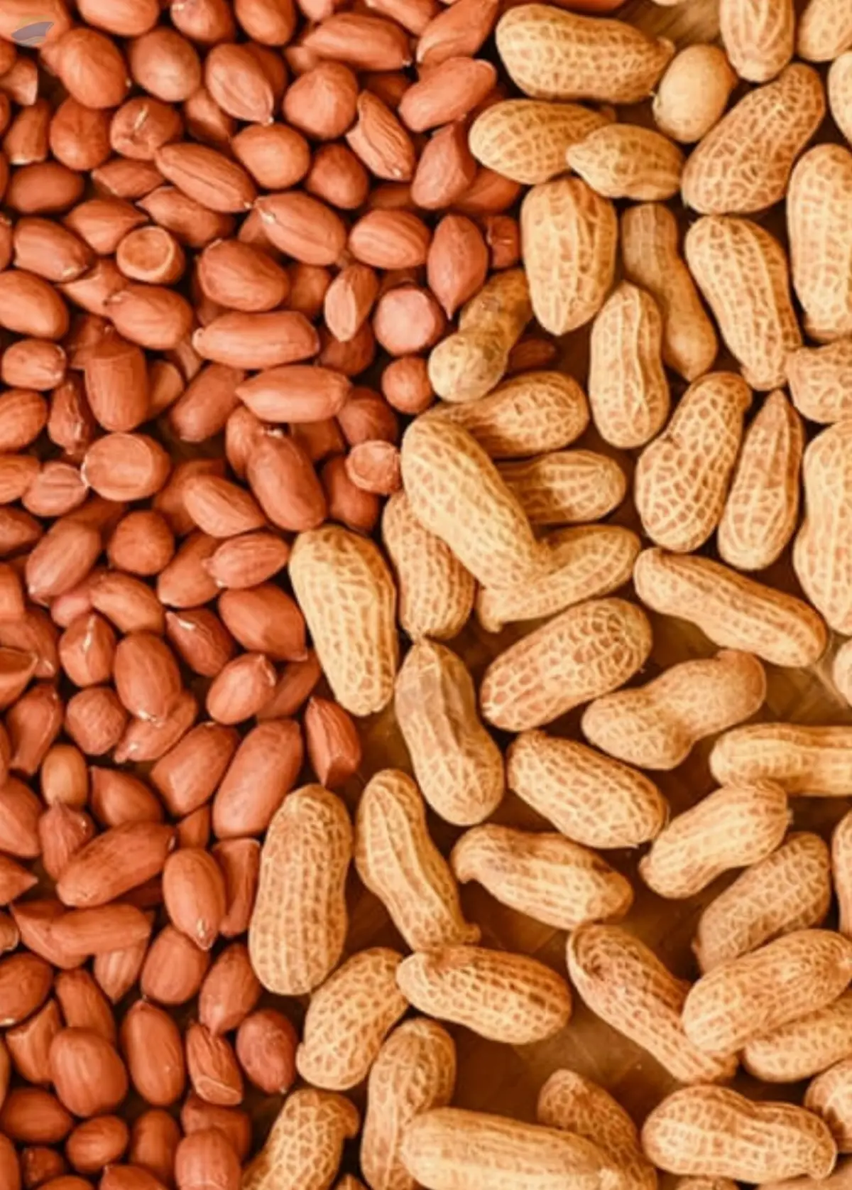 Peanuts by Promakar Flour Mills